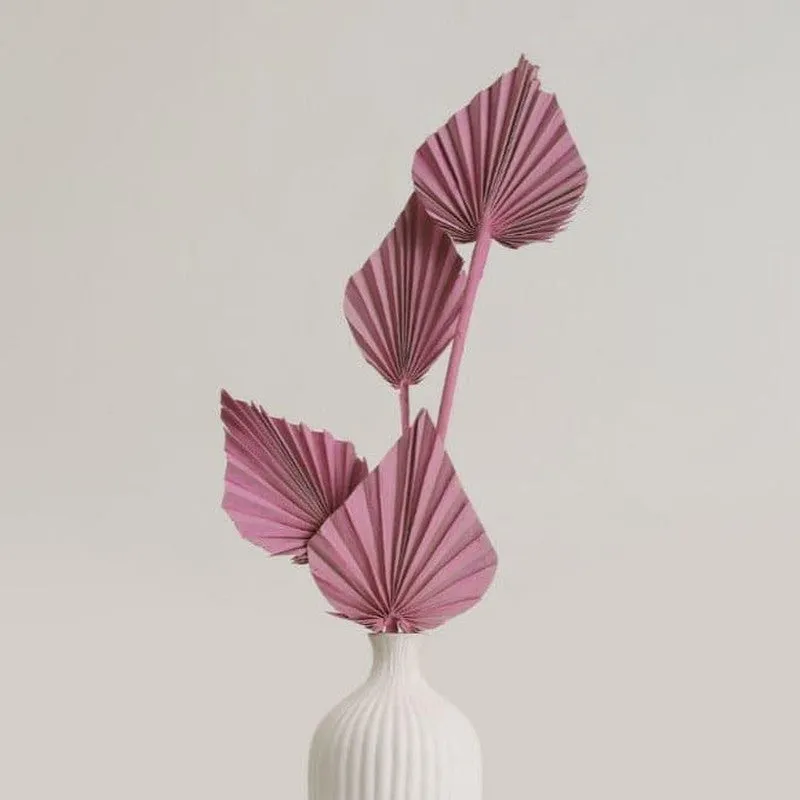 Palzi Dried Palm Stick (Pink) - Set Of Five media 1