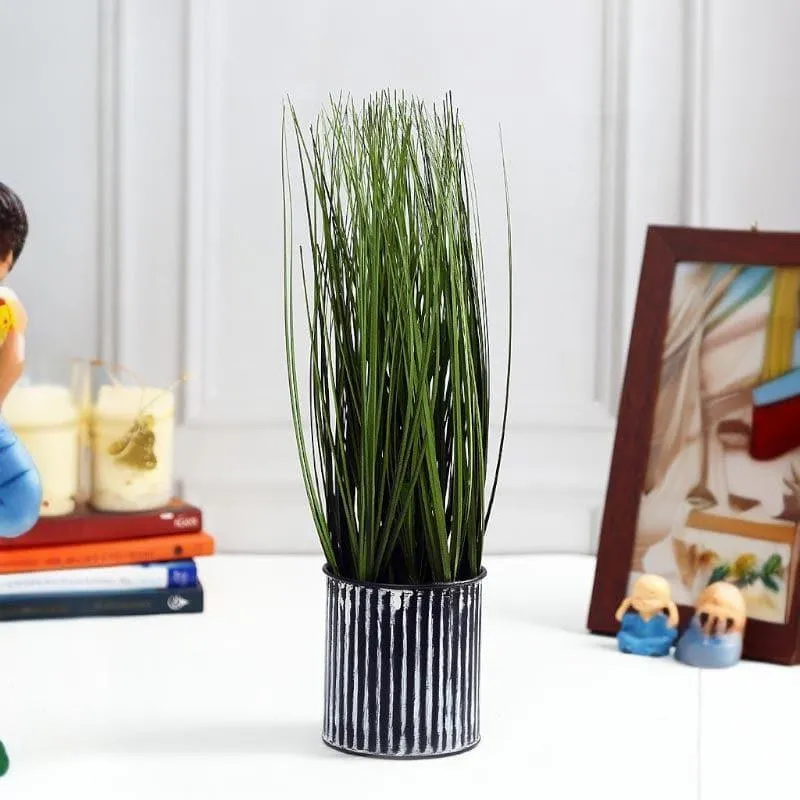 Faux Onion Grass Bonsai (38 cms) - Short media 1