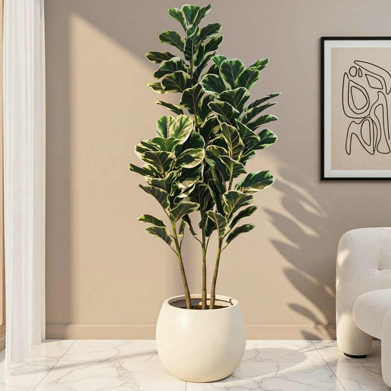 Folira Artificial Fiddle Fig With Black Plastic Pot - 5 Feet