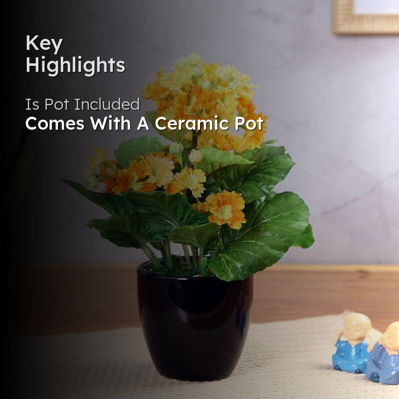 Faux Primula Bonsai In Ceramic Pot (30 cms) - Orange media 2