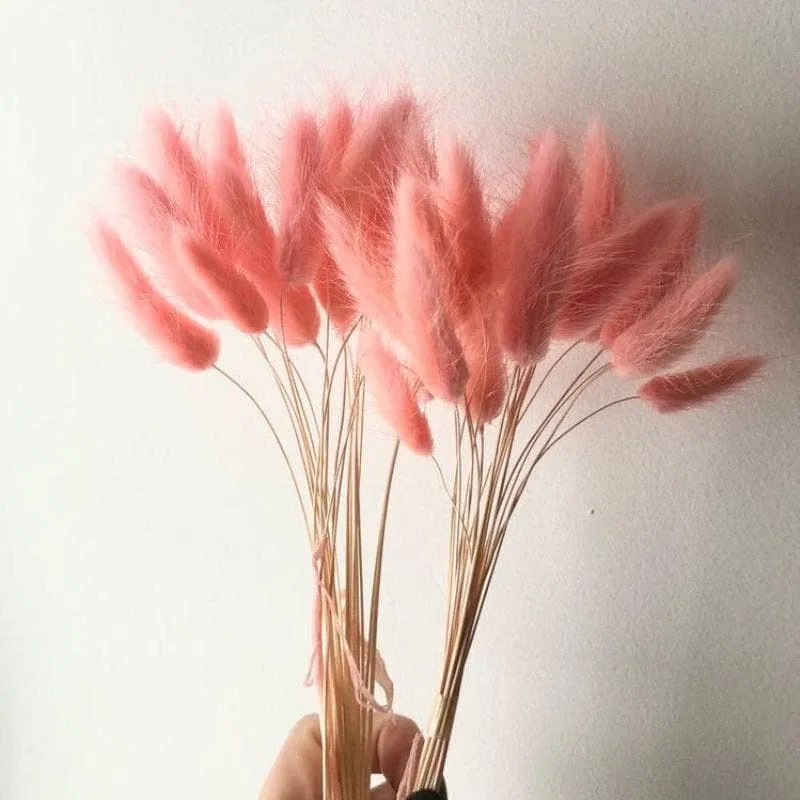 Naturally Dried Bunny Tail Stems (Pink) - Set of Thirty media 5