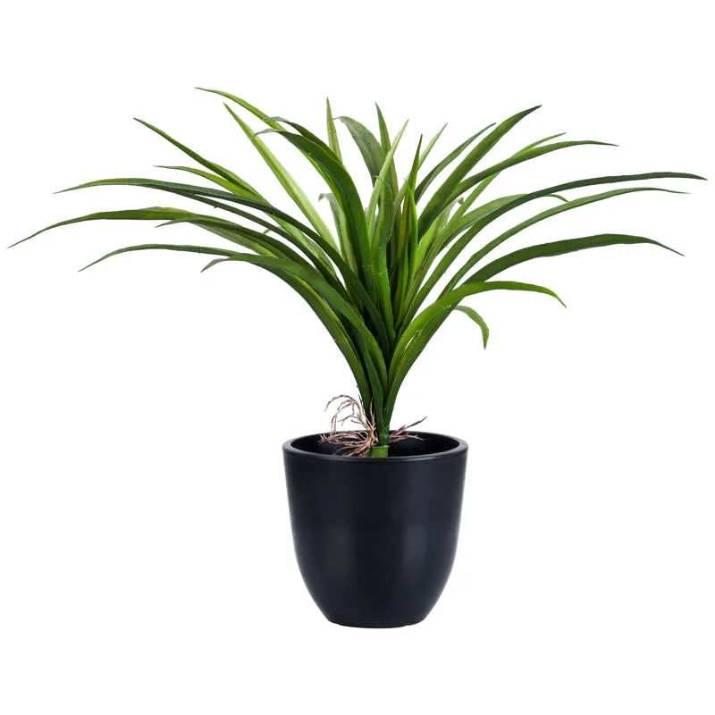 Artificial Dracaena Plant With Black Plastic Pot - 1 Feet media 3