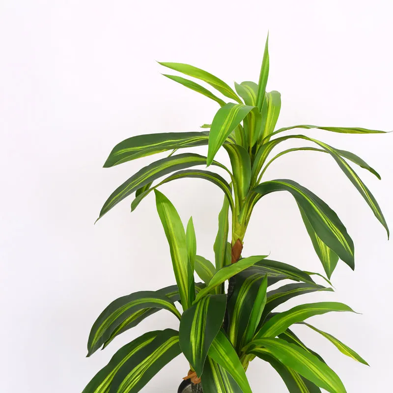 Lushly Artificial Draceana With Black Plastic Pot - 3 Feet media 5