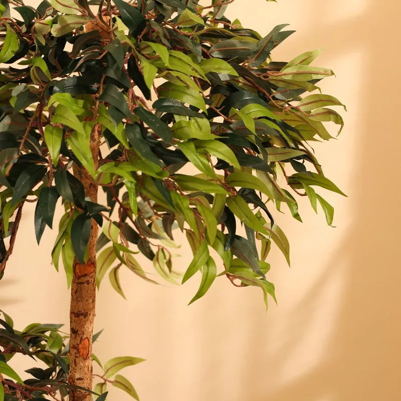 Artificial Green Ficus Bonsai Plant With Black Plastic Pot - 4 ft media 7