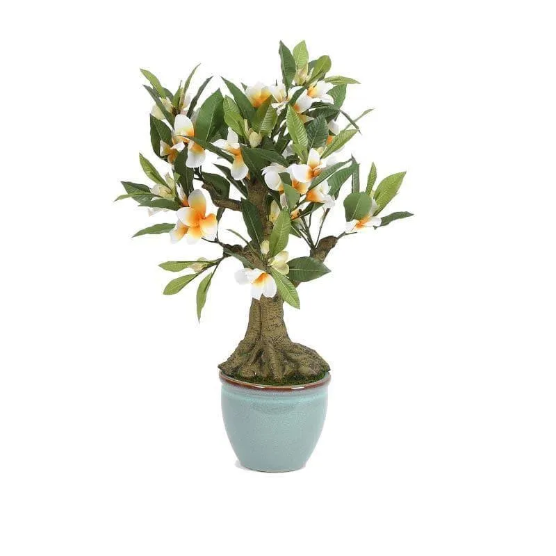 Faux Frangipani Bonsai In Ceramic Pot (2.07 ft) - White media 4