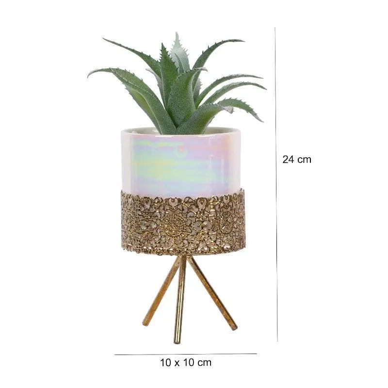 Faux Agave Tequilana In Ceramic Pot With Tripod - 24 cms media 4