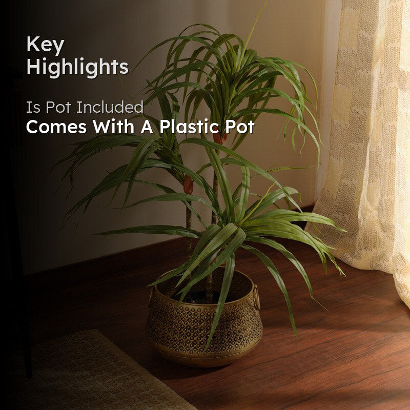 Artificial Realistic Dracaena Plant With Black Plastic Pot - 3 Feet media 2