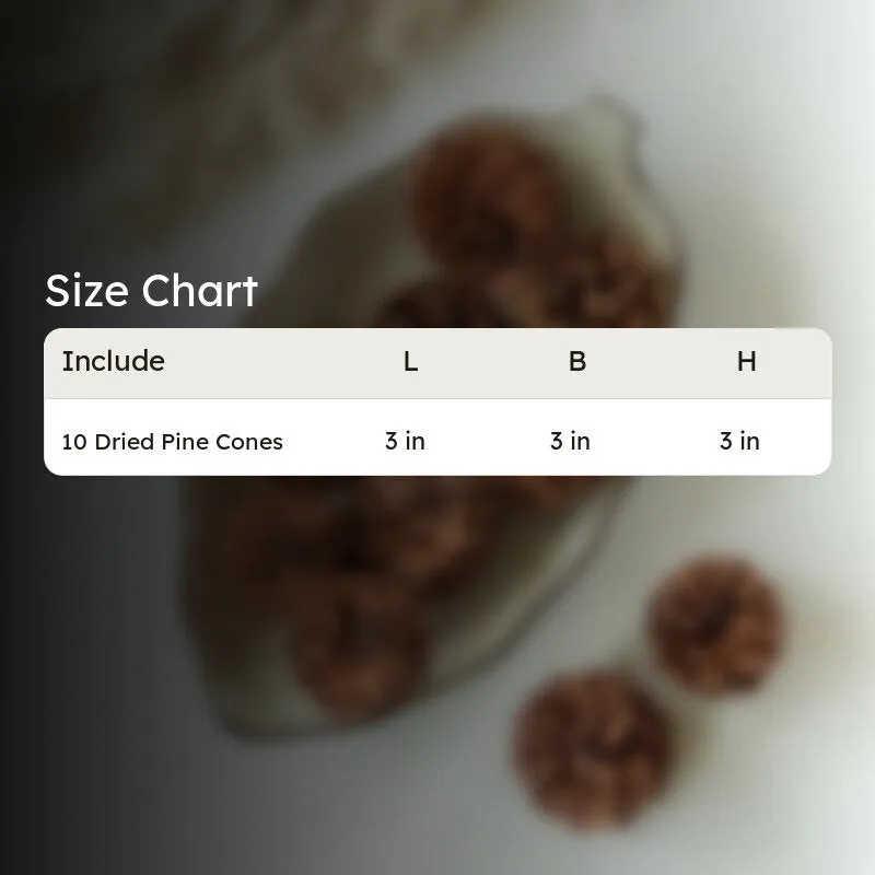 Alpine Dried Pine Cone - Set Of Ten media 6