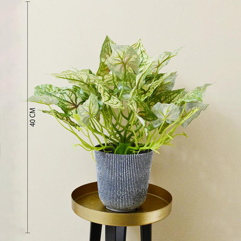 Caladia Artificial Caladium Plant With Black Plastic Pot - 40 cm media 6