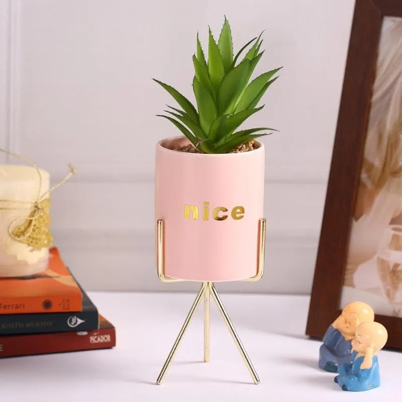Faux Aloe Vera In Pink Pot With Tripod - 27 cms media 1