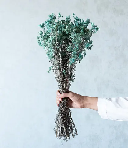 Dried Flowers & Leaves