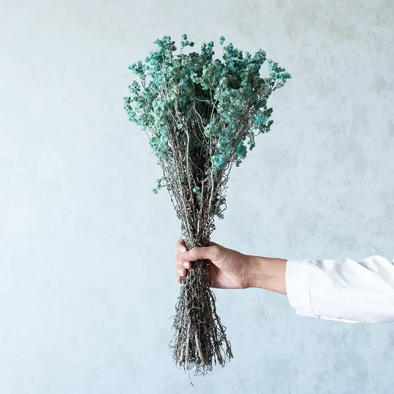 Gypsa Dried Baby's Breath Bunch - Blue media 1