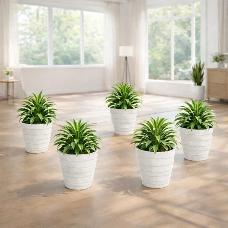 Velora Planters (White) - Set Of Five media 4