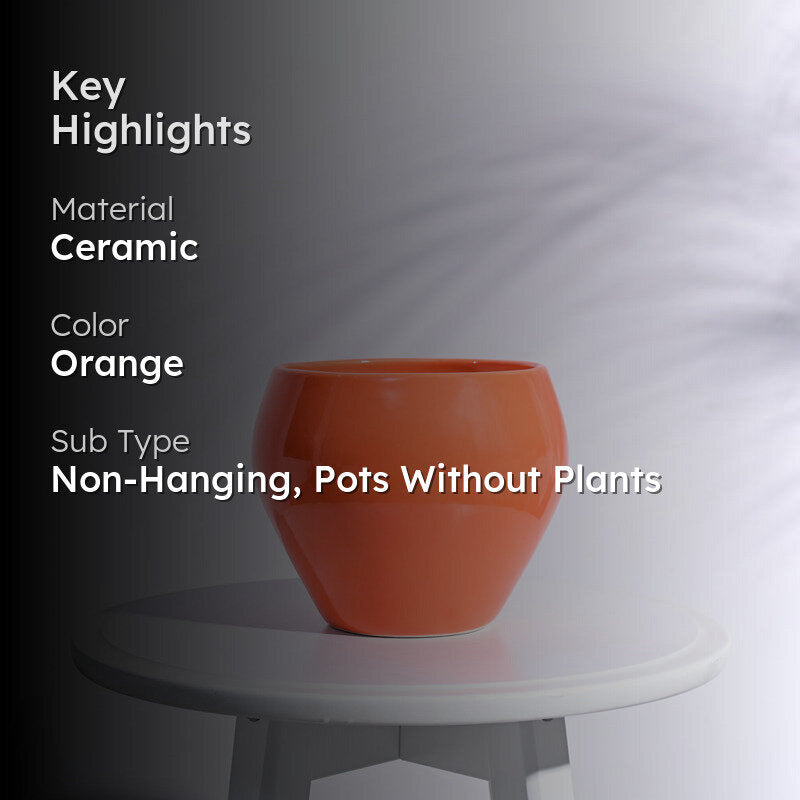 Ugaoo Apple Orange Ceramic Pot- Medium media 2