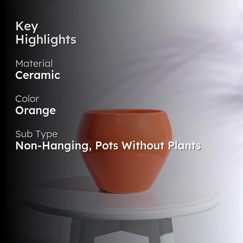 Ugaoo Apple Orange Ceramic Pot- Medium media 2