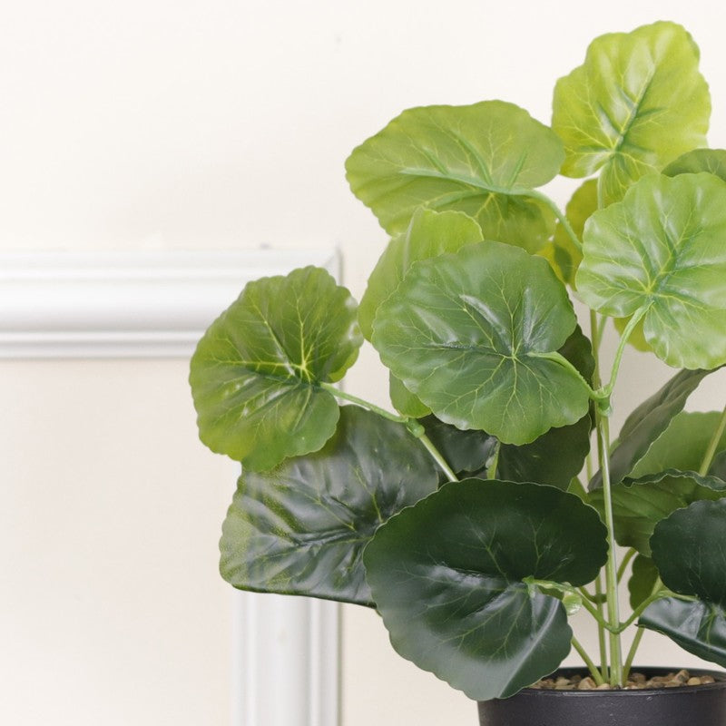 Artificial Grape Ivy Plant With Black Fiber Pot - 0.9 Feet media 6