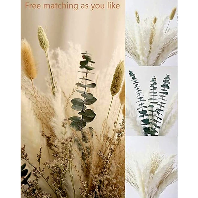 Bloom Theory Dried Flower Bunch - Set of Seventy media 3