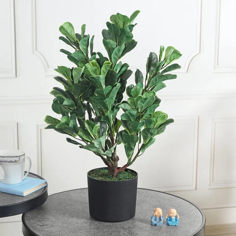 Botanic Aura Artificial Plant With Black Plastic Pot media 3