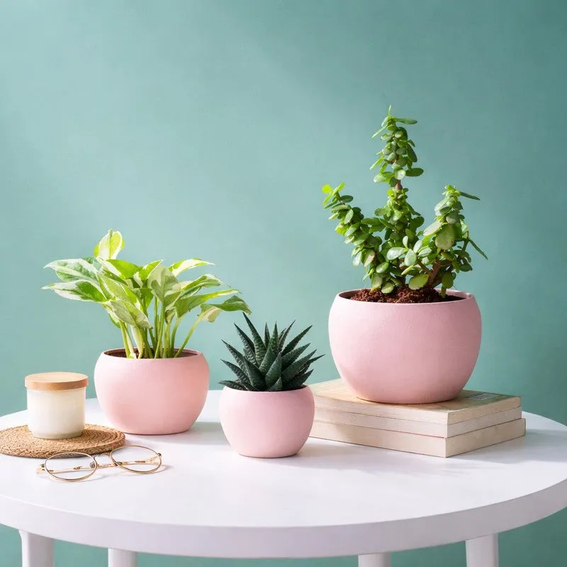 LeafNest Mild Steel Planter (Pink) - Set Of Three media 3