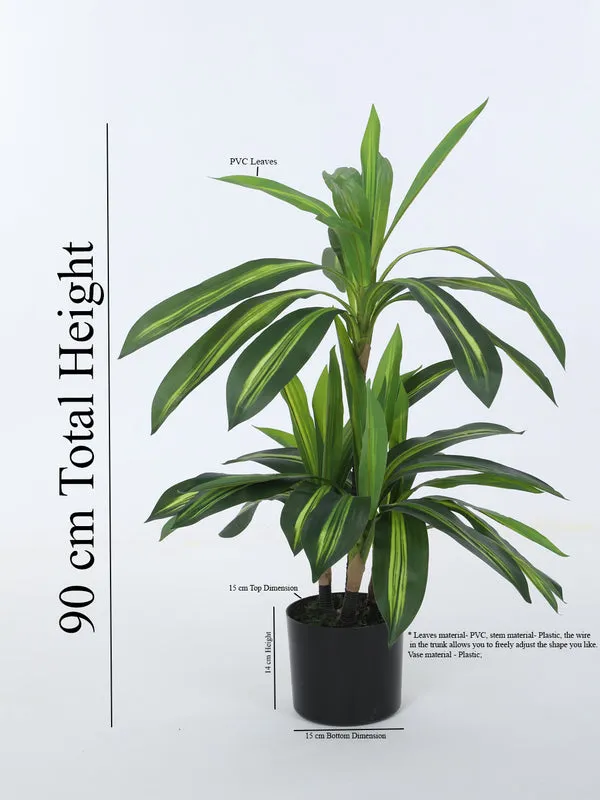 Faux Dracaena Limelight Plant With Black Plastic Pot - 2.95 ft media 6