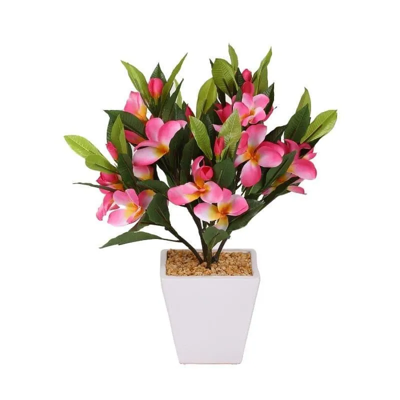 Faux Frangipani Bonsai (41 cms) - Pink media 4