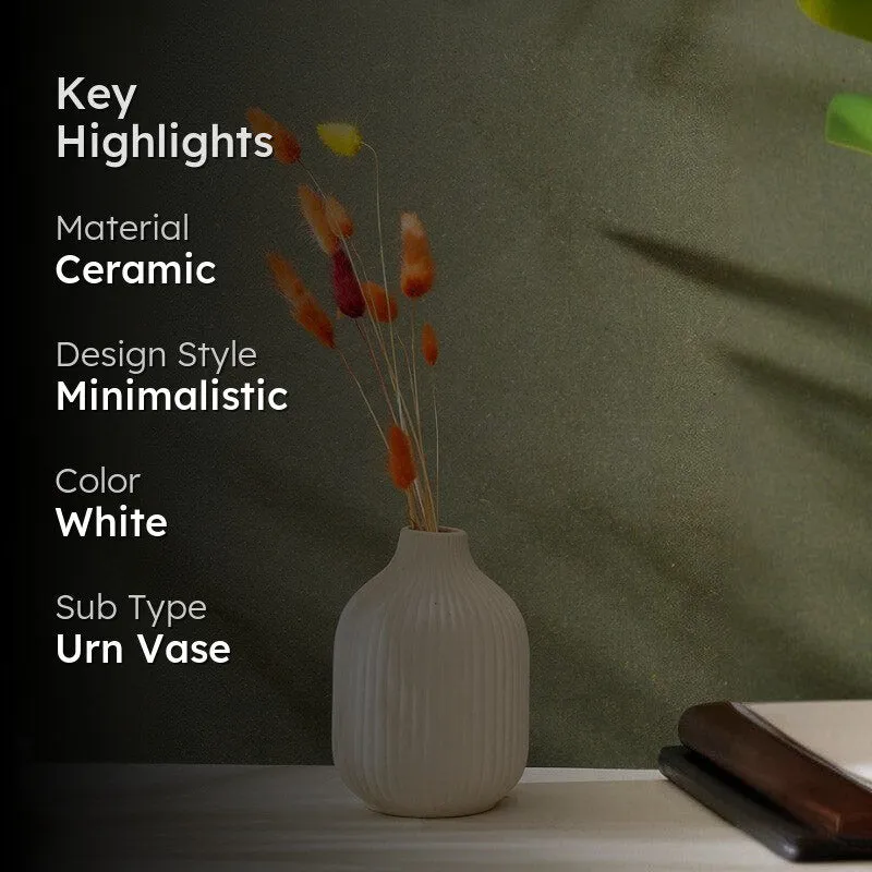 Nezi Vase - White media 2