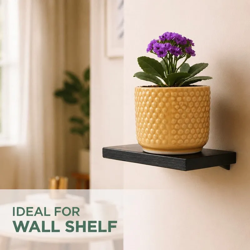 Nordic Bubble Ceramic Planter (Yellow) - Set of Two media 8