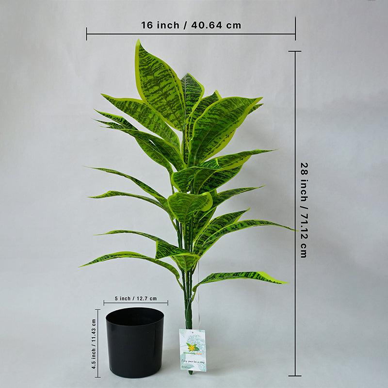 Faux Everlasting Snake Plant With Black Plastic Pot - 71 cm (2.3 ft) media 5