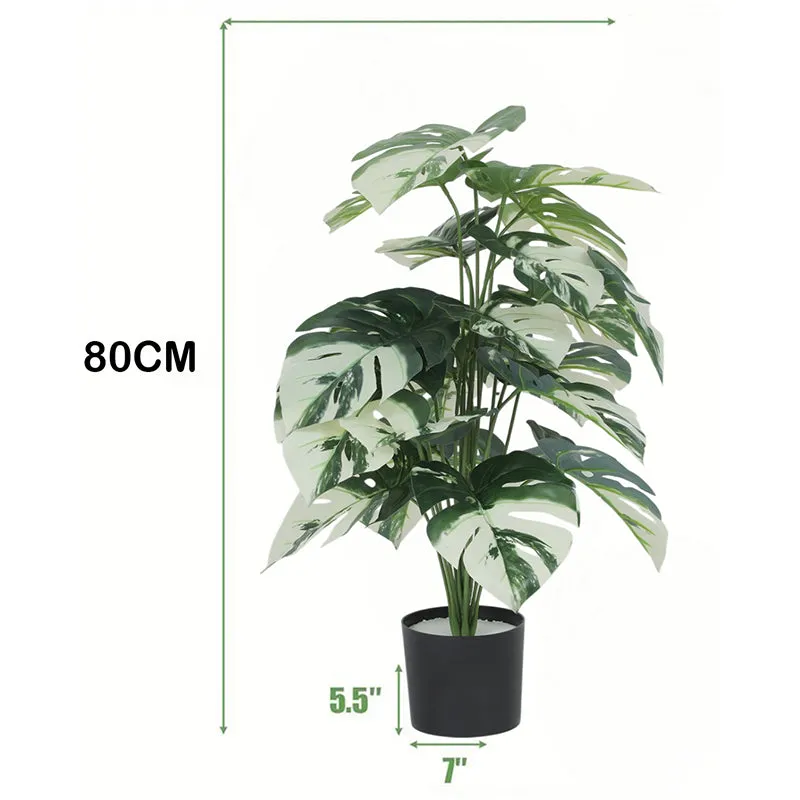 Mona Artificial White Monstera With Black Plastic Pot - 2.6 Feet media 6