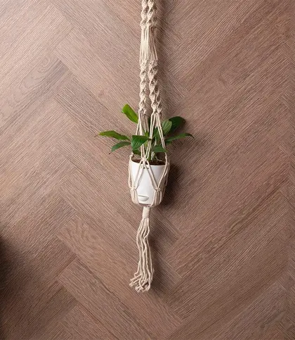 Cotton