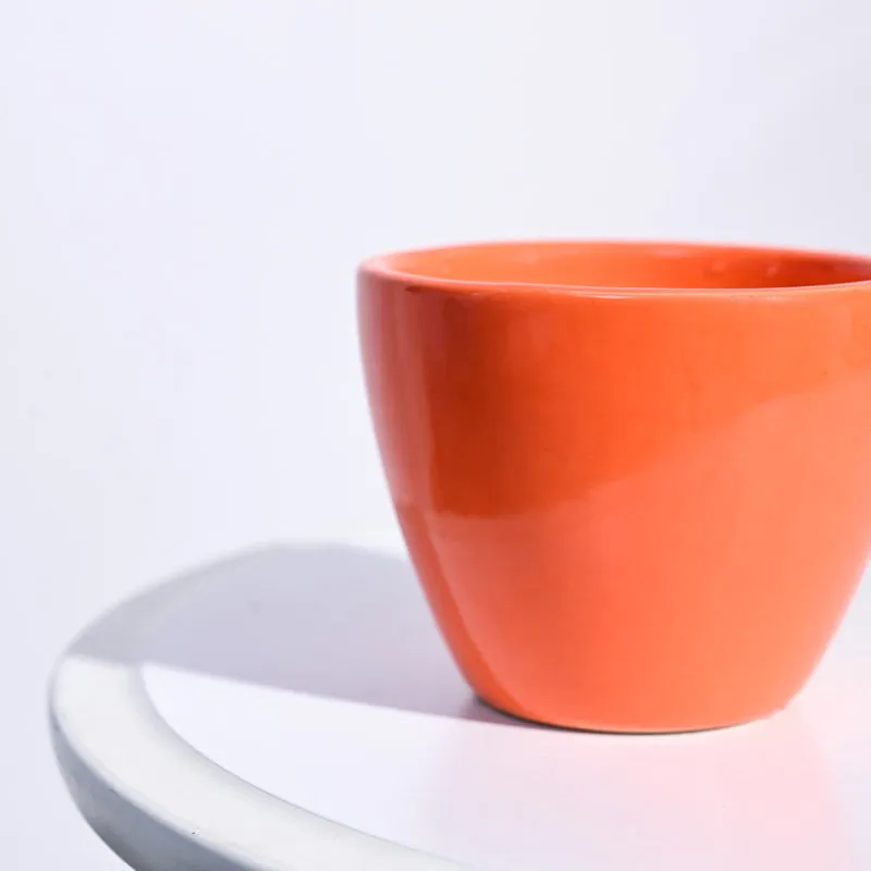 Ugaoo Apple Orange Ceramic Pot media 4