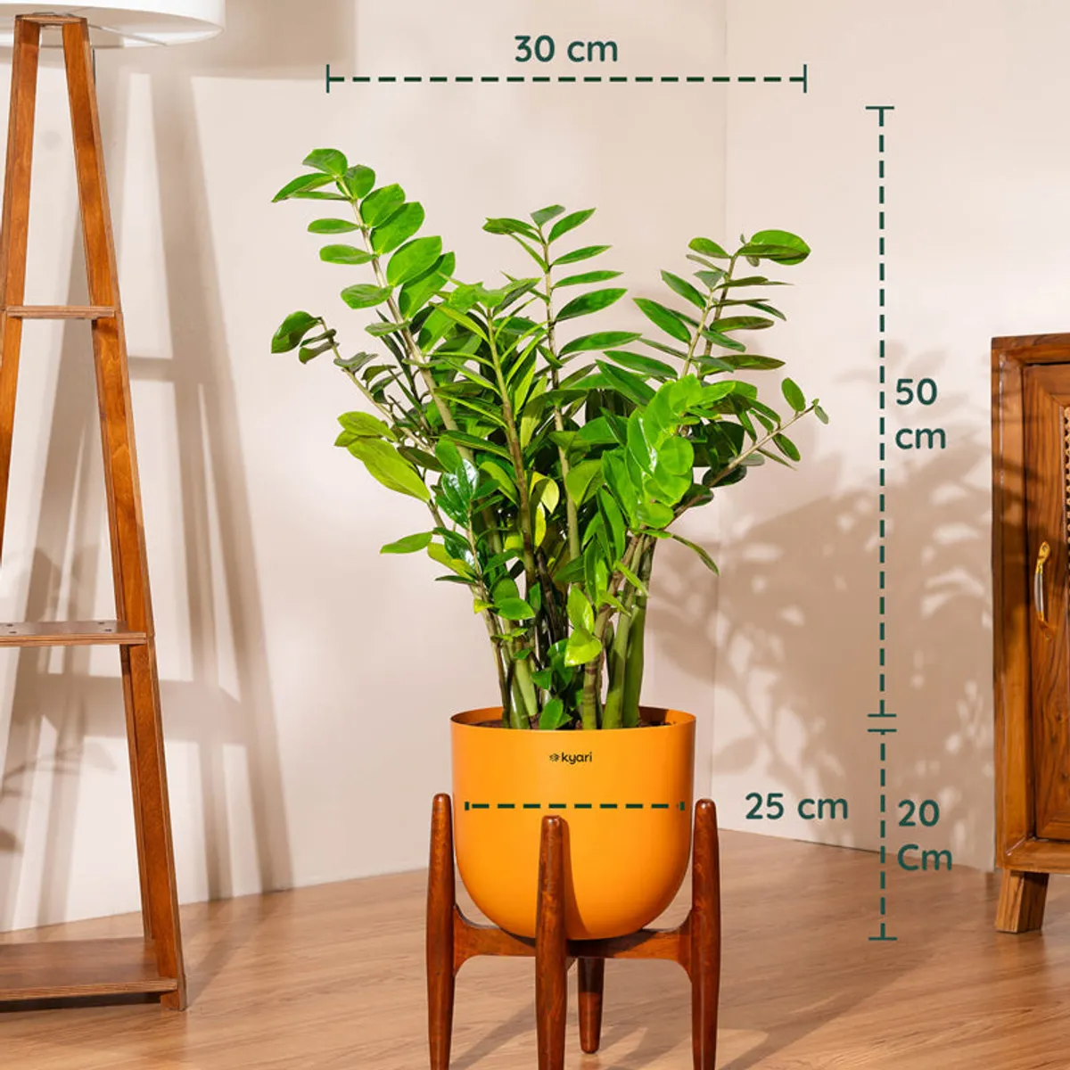 Green ZZ plant in an orange pot shown in an indoor setting