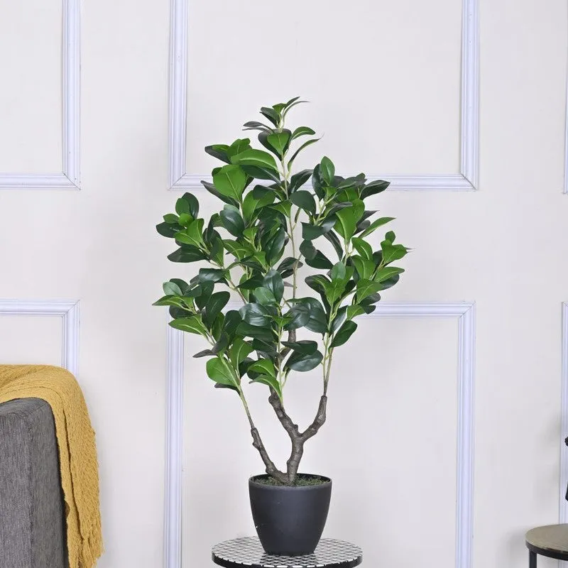 Artificial Peperomia Plant Without Pot - 3 Feet media 3