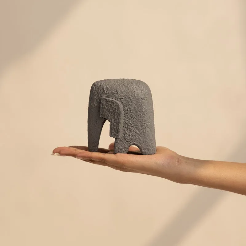 Fig Living Jumbo grey media 5