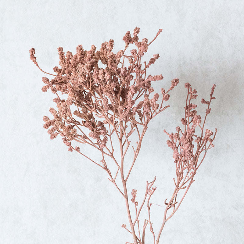 Ariel Dried Statice Flower Bunch - Rustic Pink media 4