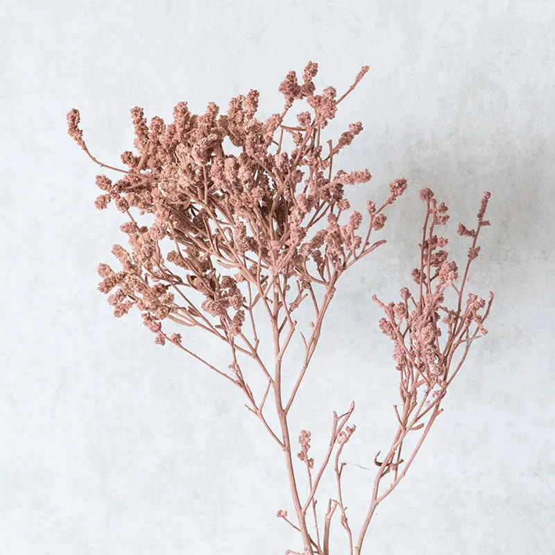Ariel Dried Statice Flower Bunch - Rustic Pink media 4