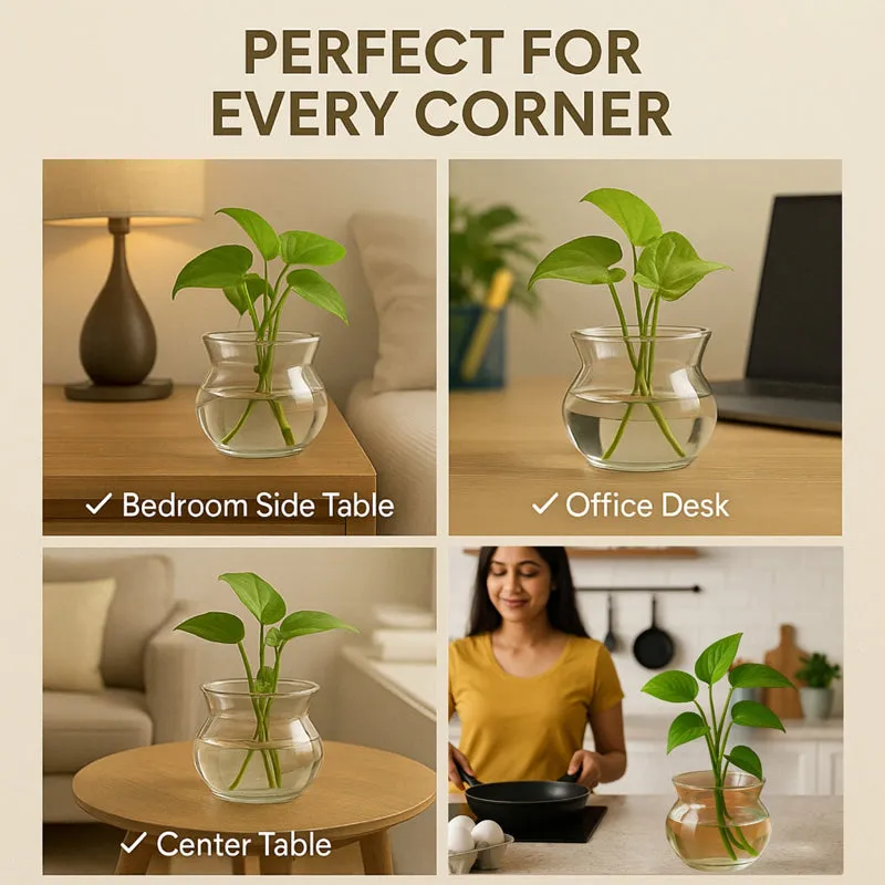 Clear glass vase styled in bedroom, desk, table and kitchen settings.