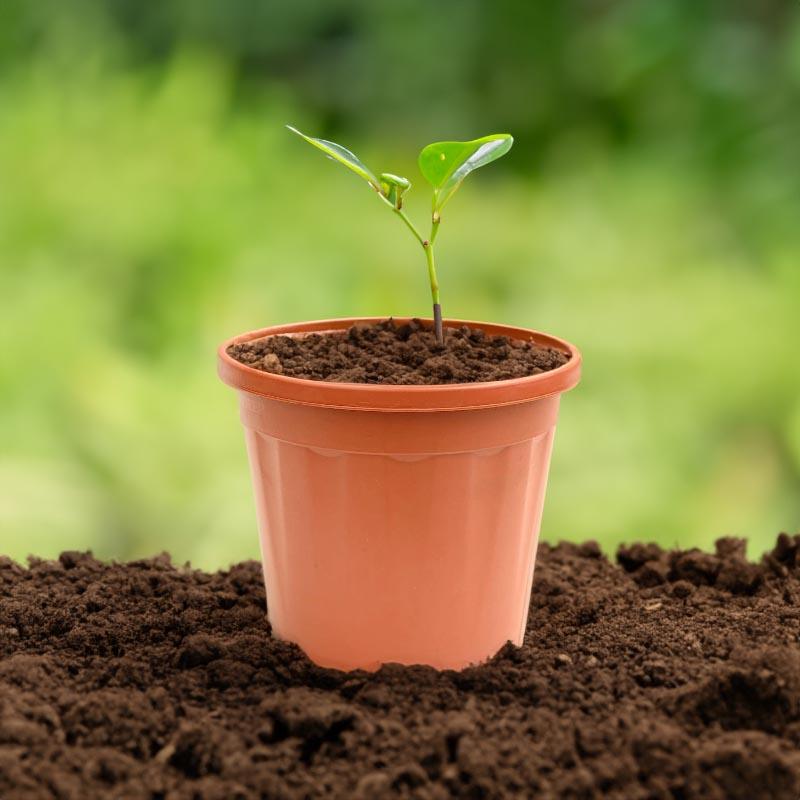 Ugaoo UV Treated Brown Plastic Pot (50 CM) - Set Of Three media 3