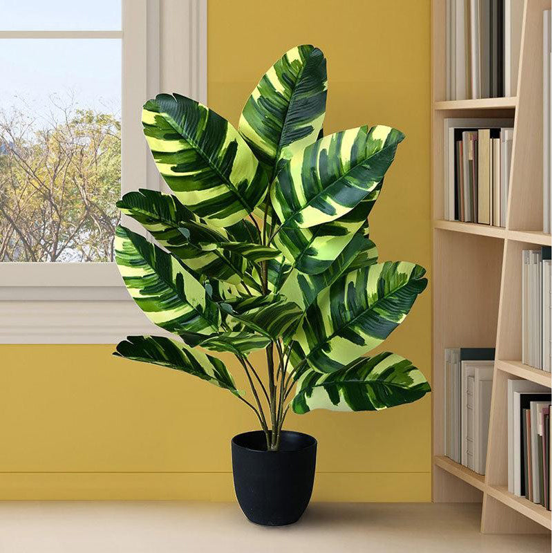 Faux Everlasting Fiddle Fig Plant With Black Plastic Pot - 79 cm (2.6 ft) media 3