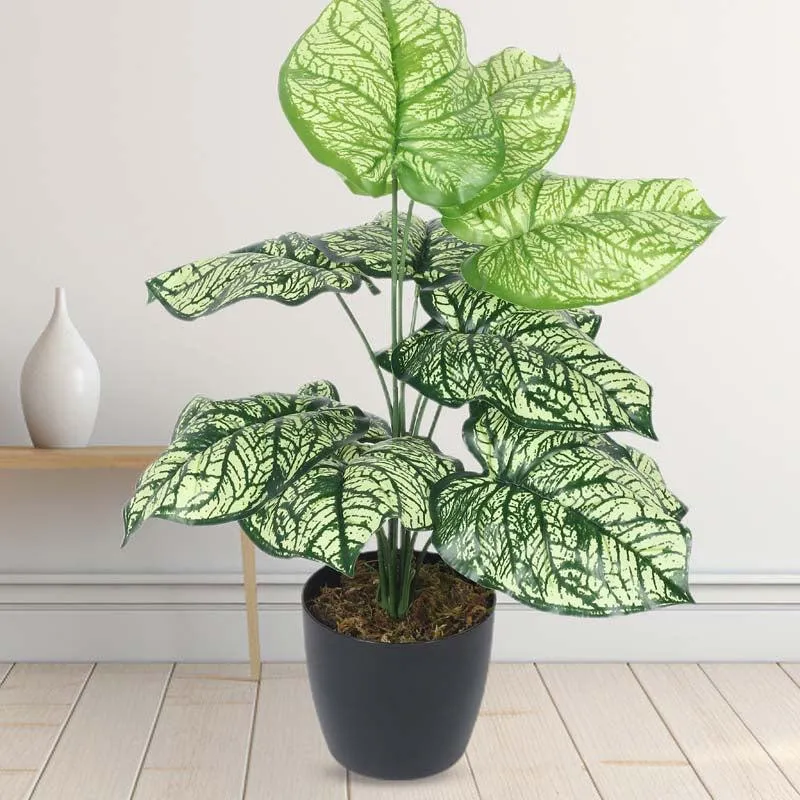 Faux Lush Light Green Monstera Plant With Black Plastic Pot - 1.8 Feet media 2