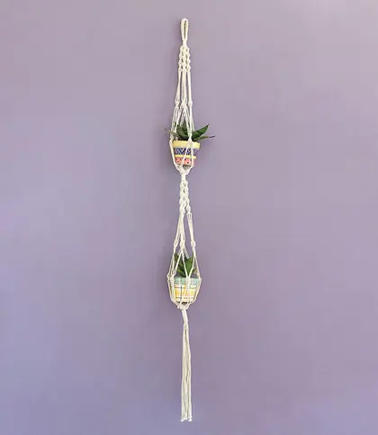 Cotton