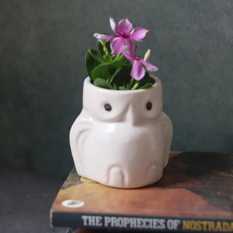 Wise Owl Ceramic Planter media 2