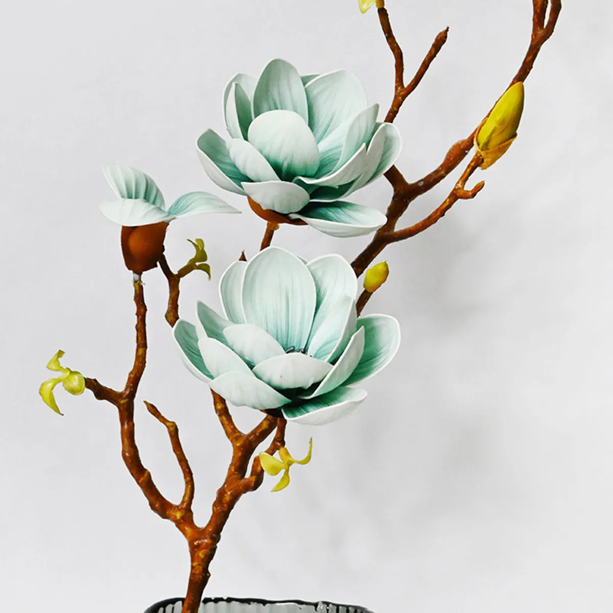 Close view of blue-white magnolia blossoms and branching stem.