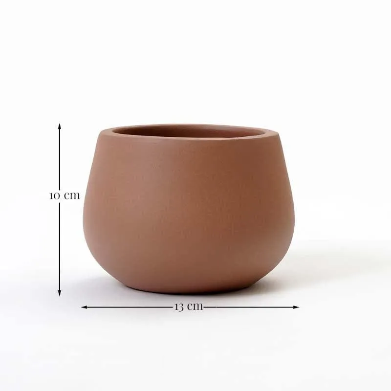 Peggy-Pogo Planter media 6