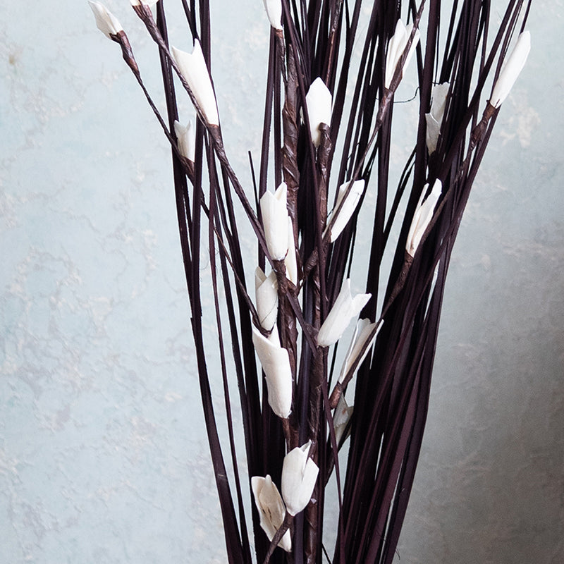 Delfrin Dried Stem - Black media 5