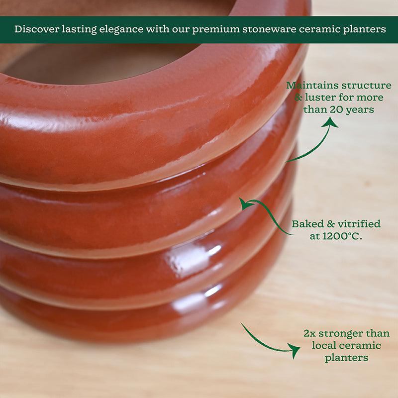 Ugaoo Ceramicurve Four Layer Ceramic Planter - Terracotta media 5