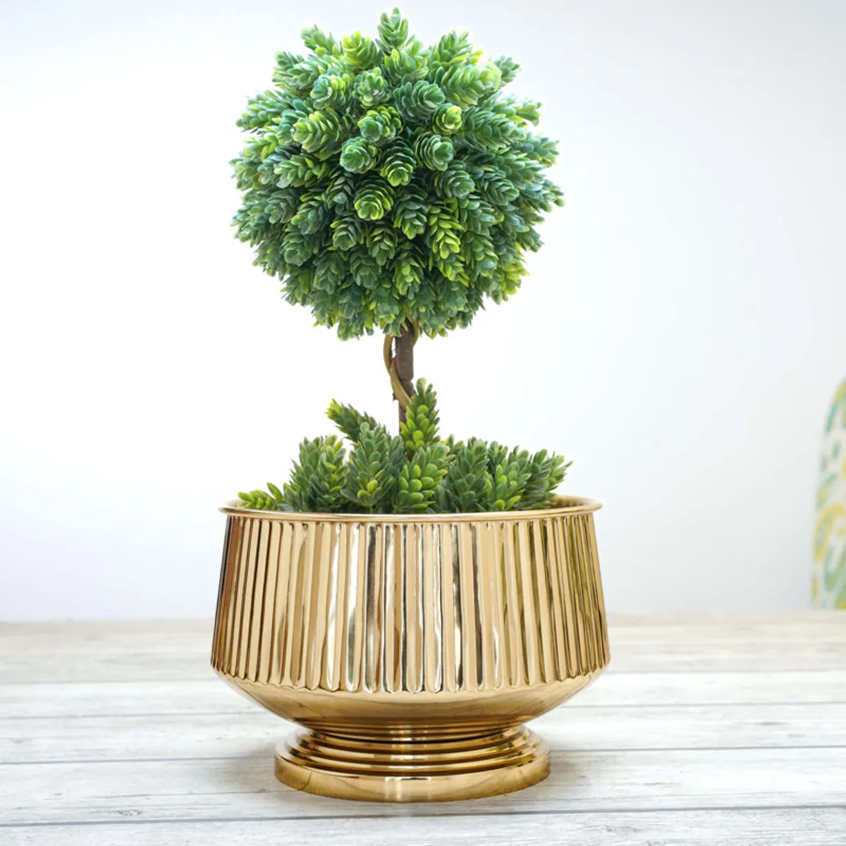 Glossy gold fluted planter styled with a green topiary.
