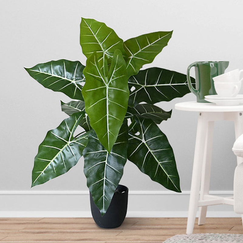 Faux Everlasting Caladium Plant With Black Plastic Pot - 79 cm (2.6 ft) media 3