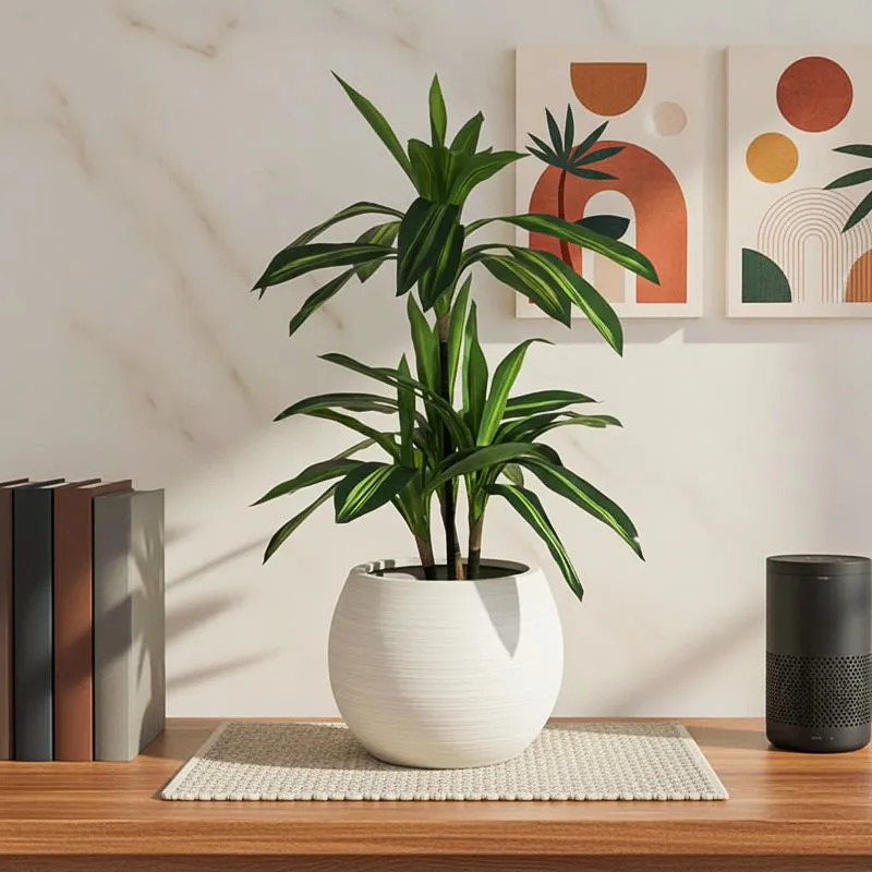 Faux Dracaena Limelight Plant With Black Plastic Pot - 2.95 ft media 1