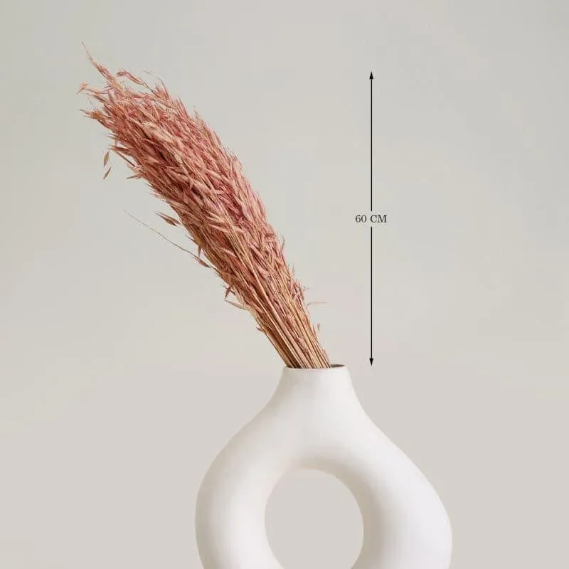 Hazo Millet Grass Dried Havana Grass Bunch - Pink media 4